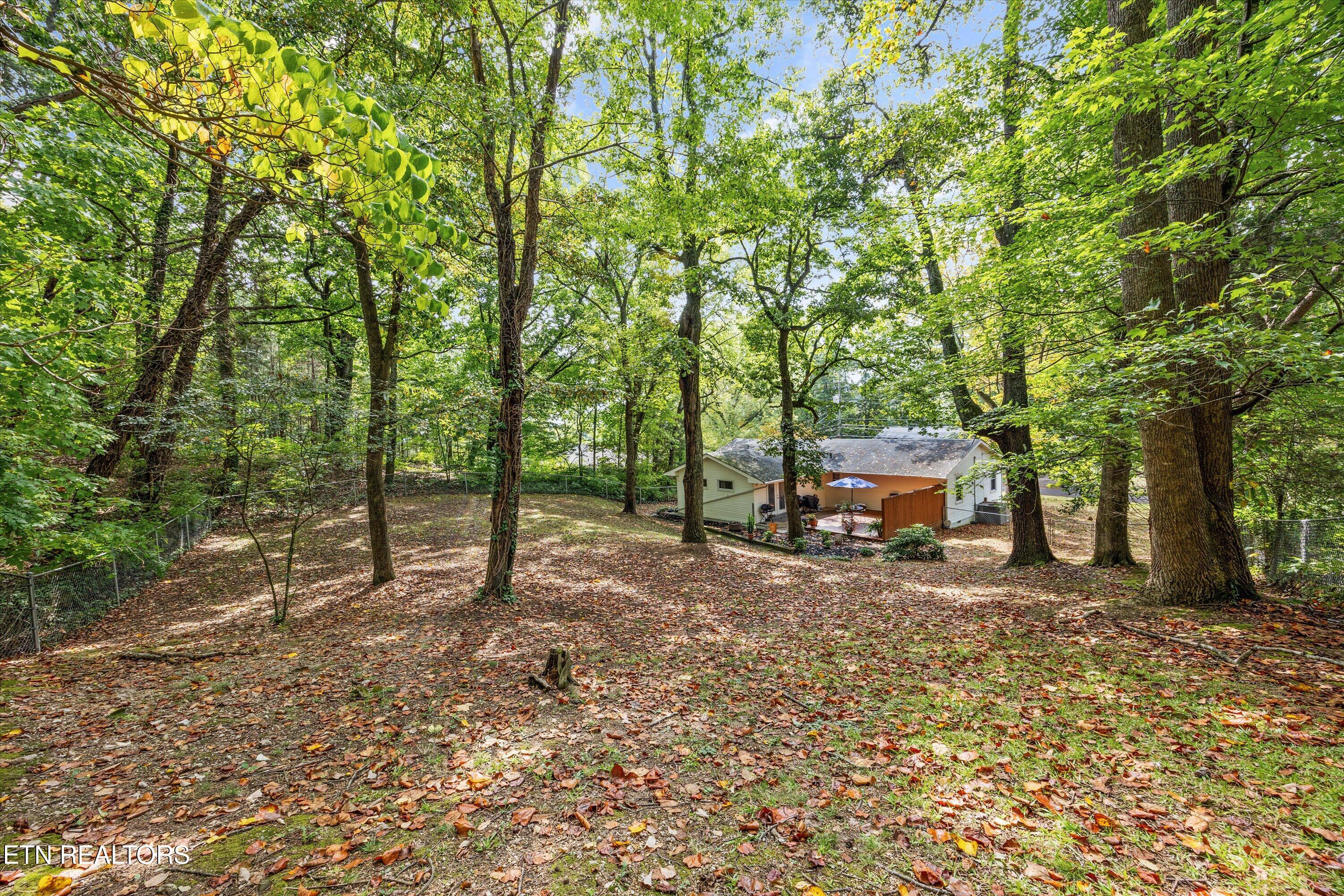 5614 Wassman Road Knoxville, TN 37912 - Photo 33 of 36 37-5614 Wassman Rd 02