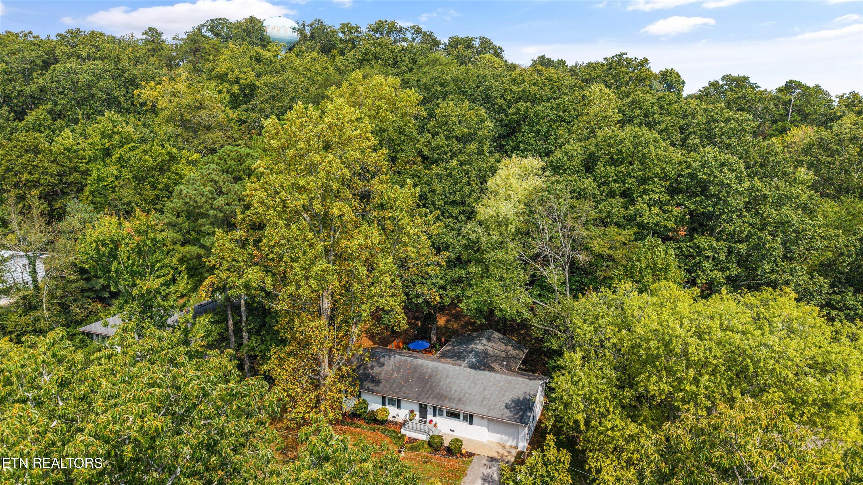 5614 Wassman Road Knoxville, TN 37912 - Photo 35 of 36 39-5614 Wassman Rd 40