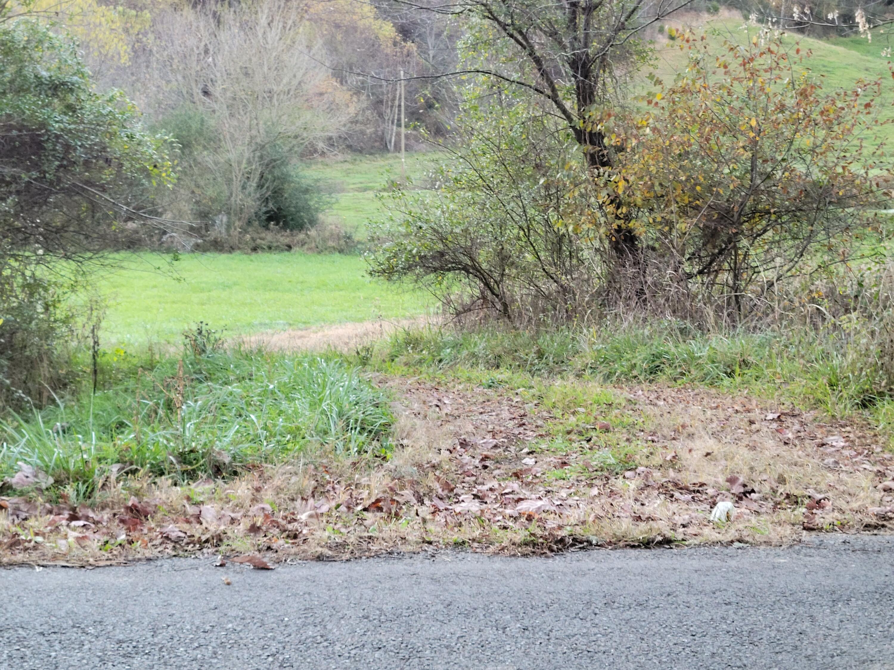 Tbd Pine Hill Road Bristol, VA 24202 - Photo 1 of 13 20211108_171838