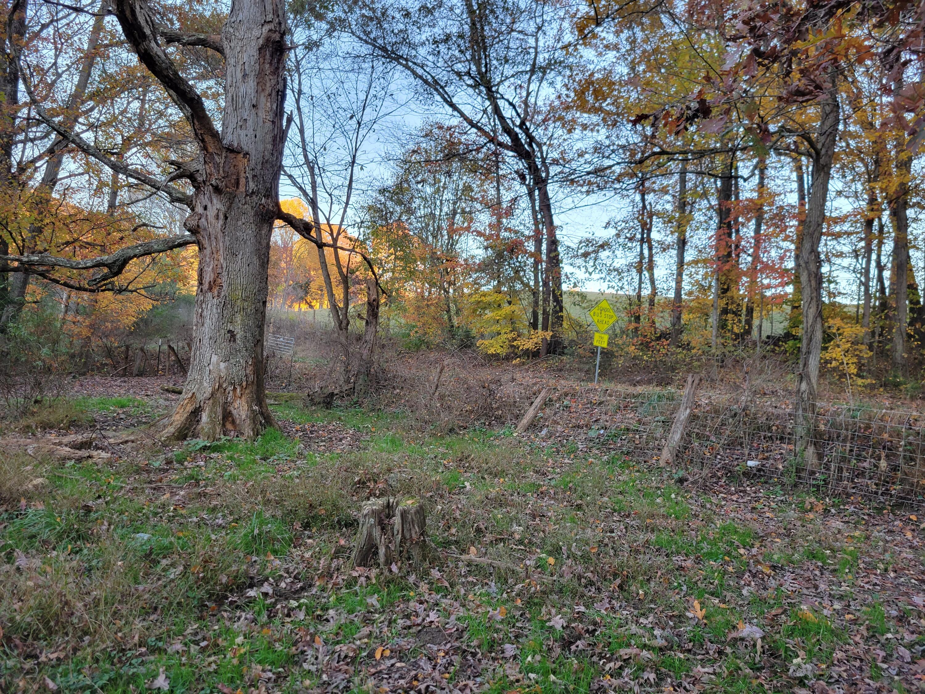 Tbd Pine Hill Road Bristol, VA 24202 - Photo 6 of 13 20211108_165334