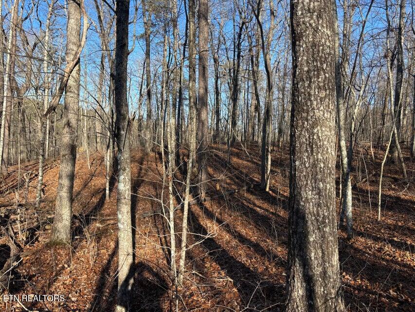 0 Deerhead Road Dunlap, TN 37327 - Photo 7 of 28 7