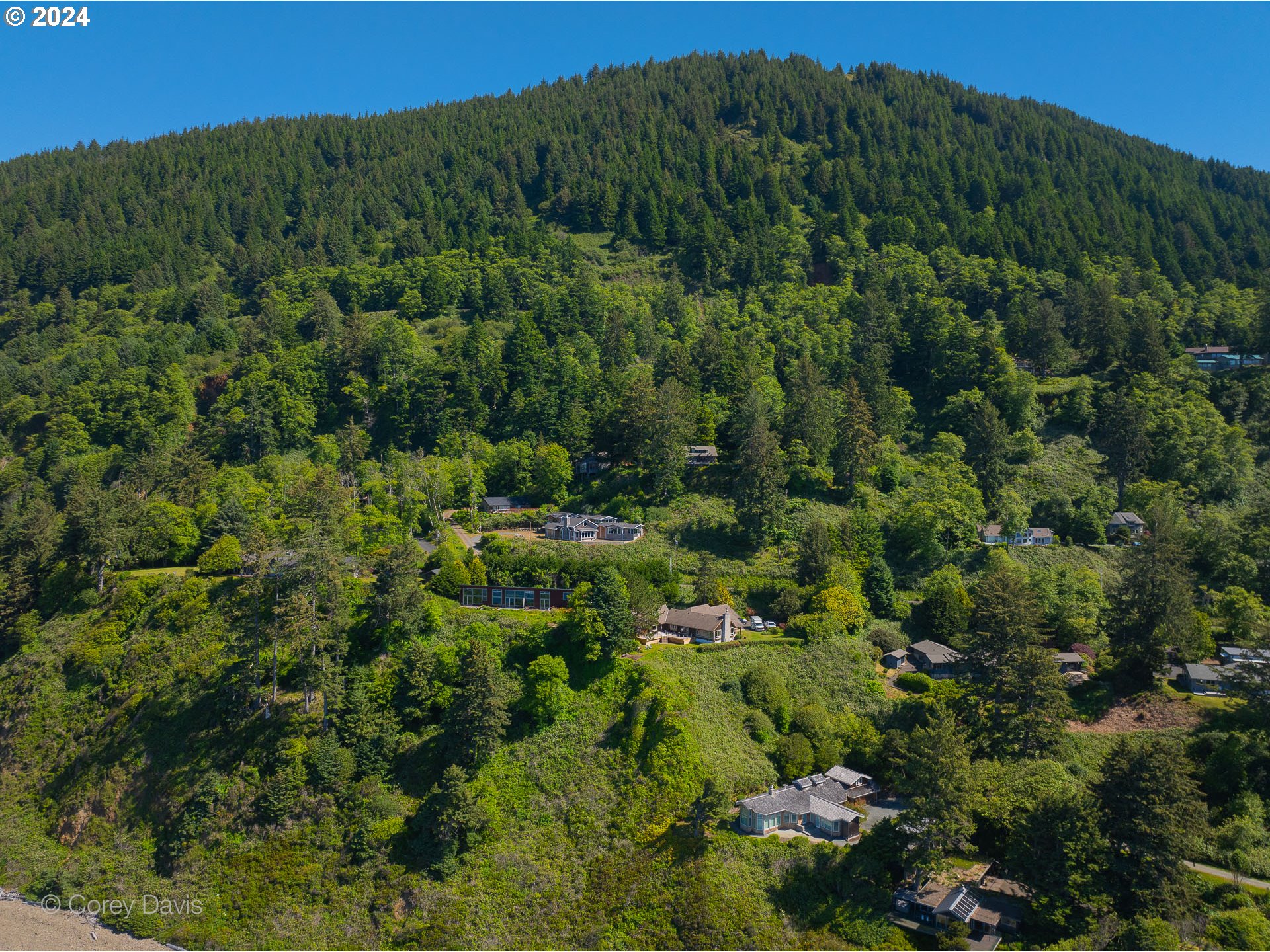 38625 Beulah Reed Road Nehalem, OR 97131 - Photo 9 of 38 a view of a forest with a street