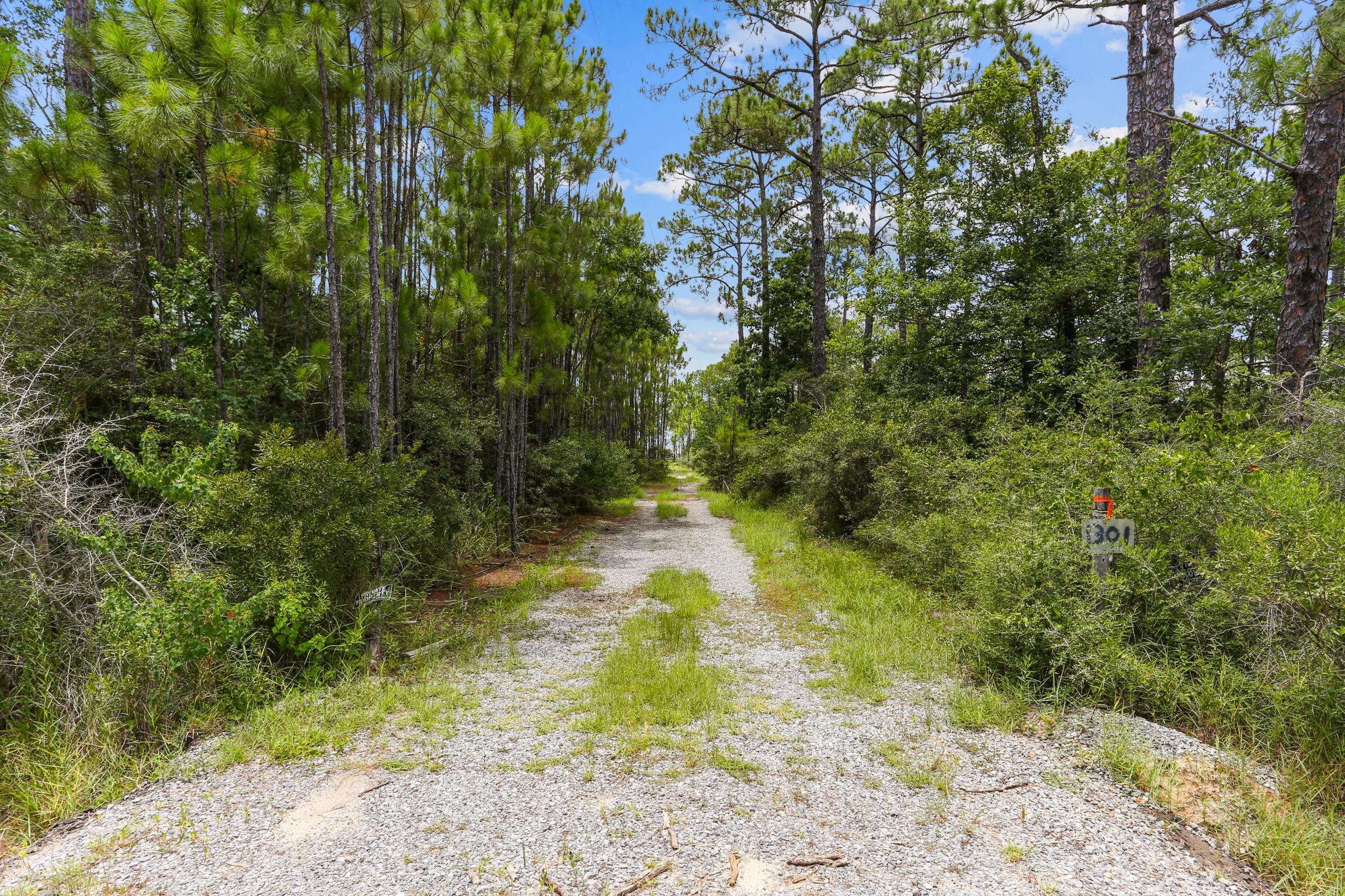 1301 Pearson Road Milton, FL 32583 - Photo 4 of 18 Gallery Image 4