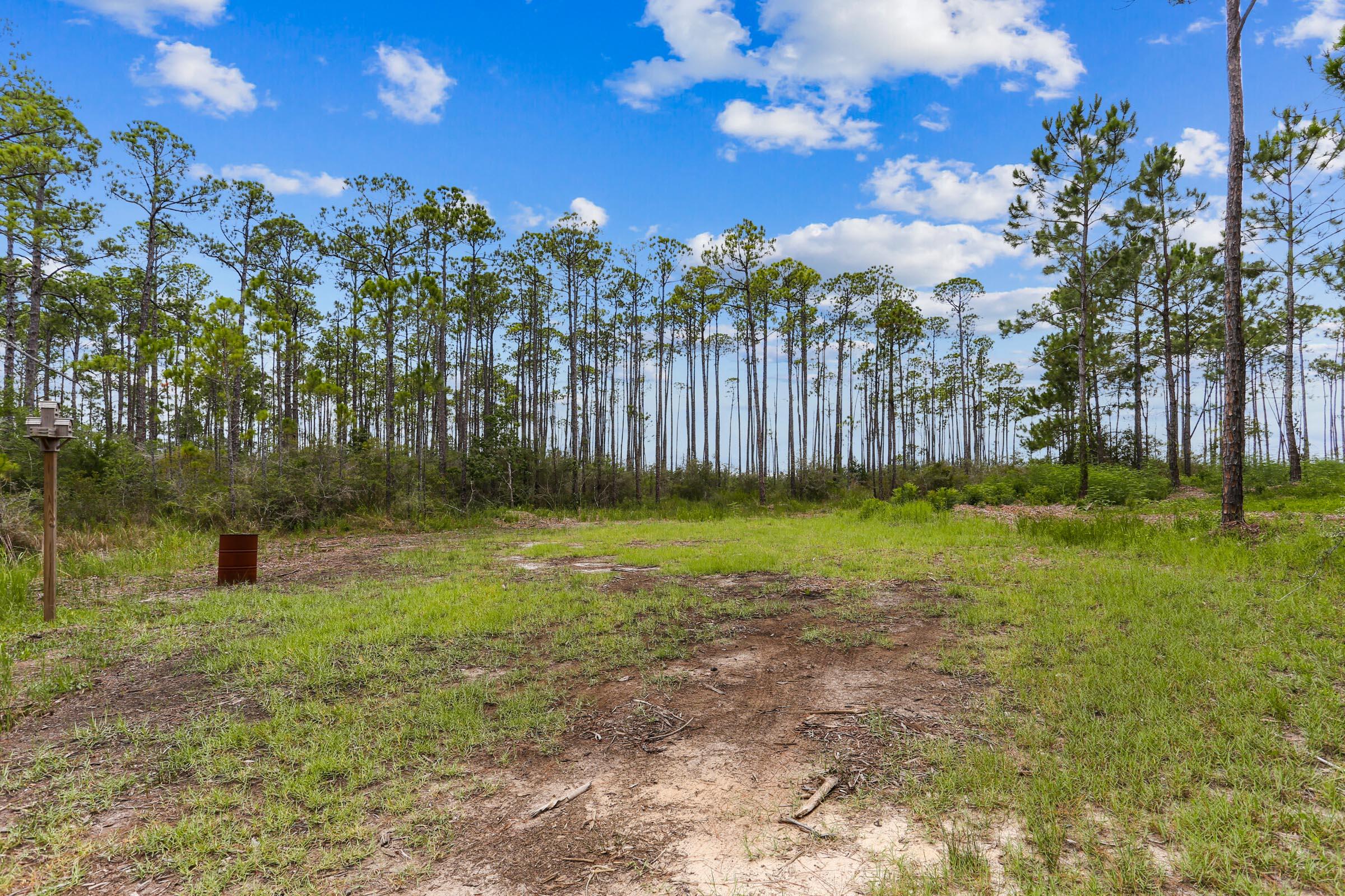 1301 Pearson Road Milton, FL 32583 - Photo 6 of 18 Gallery Image 6