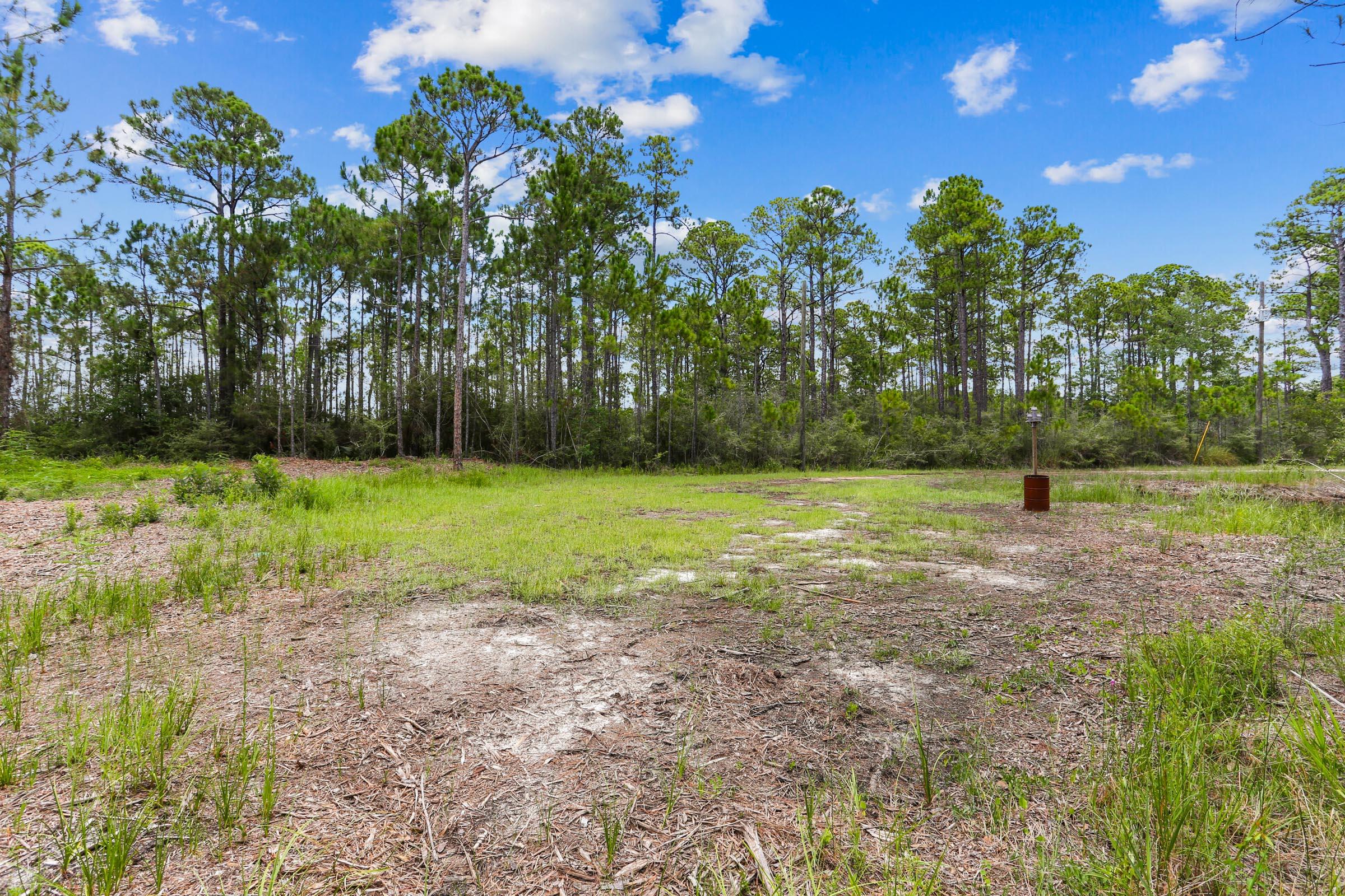 1301 Pearson Road Milton, FL 32583 - Photo 7 of 18 Gallery Image 7