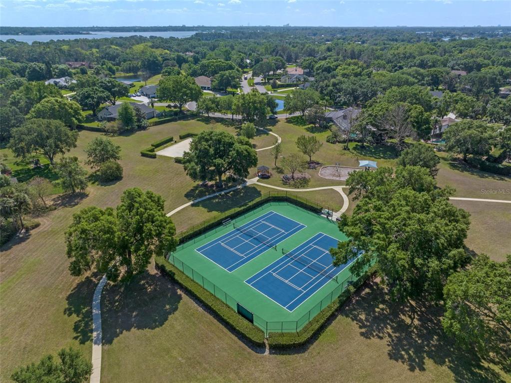 2125 Kane Park Way Windermere, FL 34786 - Photo 56 of 63