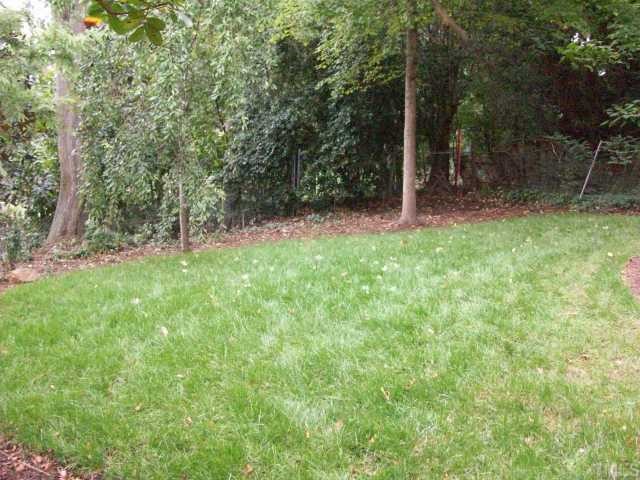 2630 Davis Street Raleigh, NC 27608 - Photo 12 of 12 The backyard feels very private and is sodded with fescue grass. The speicmen trees in the back include a weeping cherry and a real California Redwood!