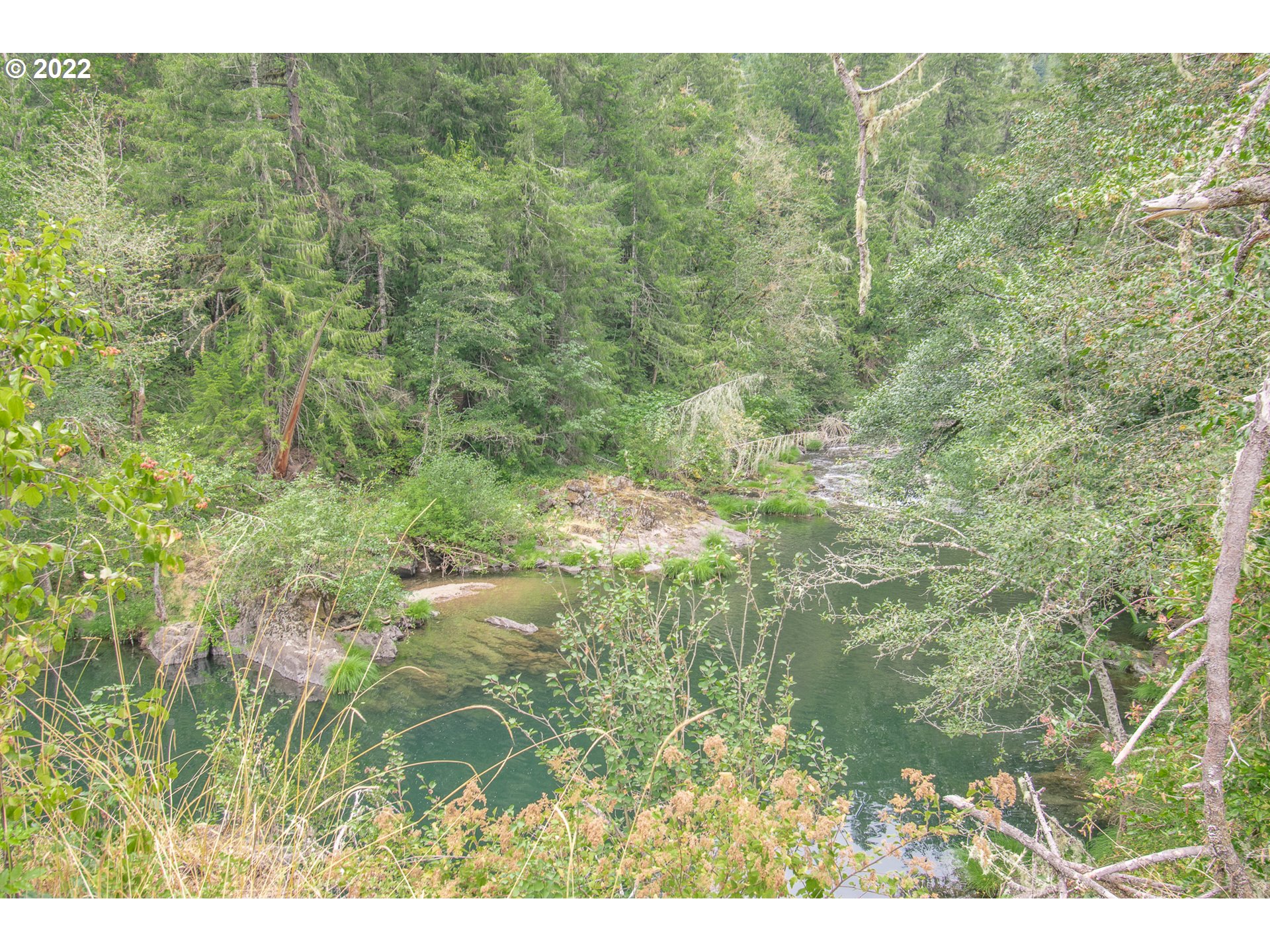 38435 Row River Road Dorena, OR 97434 - Photo 25 of 32 a view of a yard