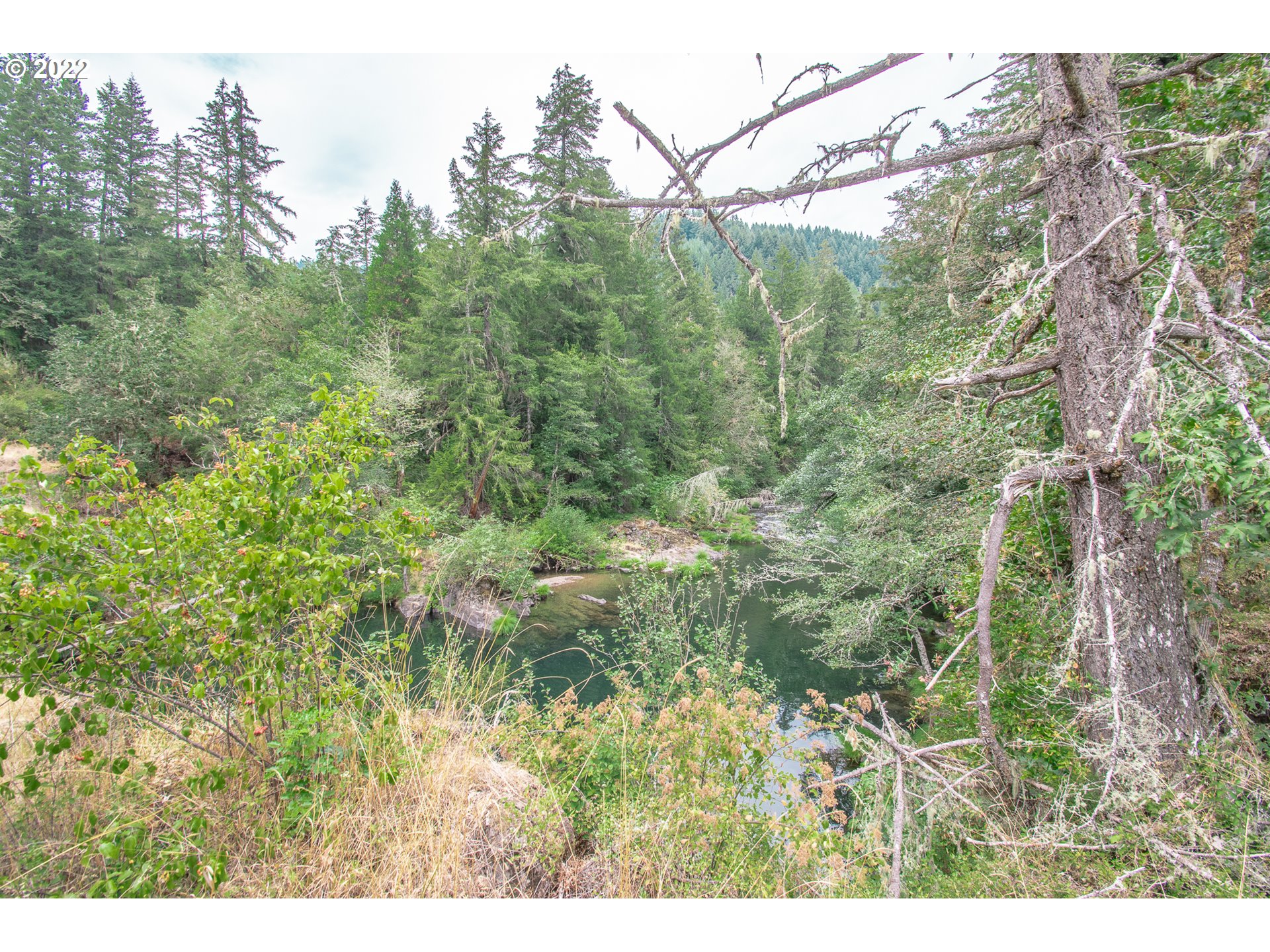 38435 Row River Road Dorena, OR 97434 - Photo 26 of 32 a view of a forest