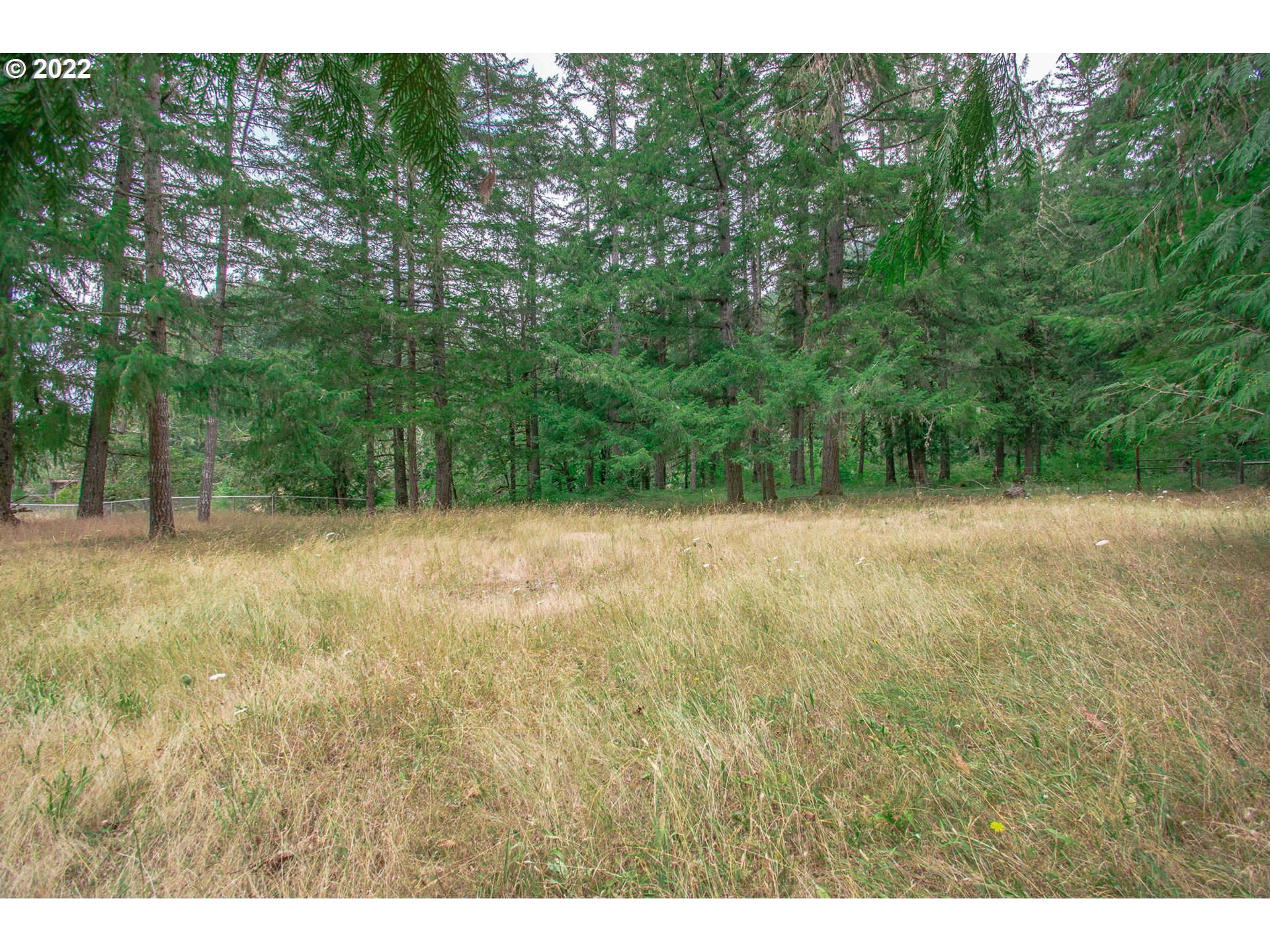 38435 Row River Road Dorena, OR 97434 - Photo 30 of 32 a view of a field with trees in the background