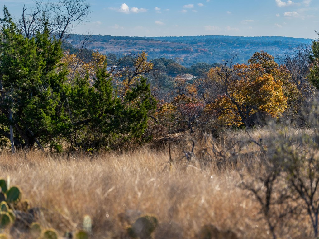 196 Hermit Hill Road Fredericksburg, TX 78624 - Photo 28 of 49 a view of a lush green forest with lots of trees