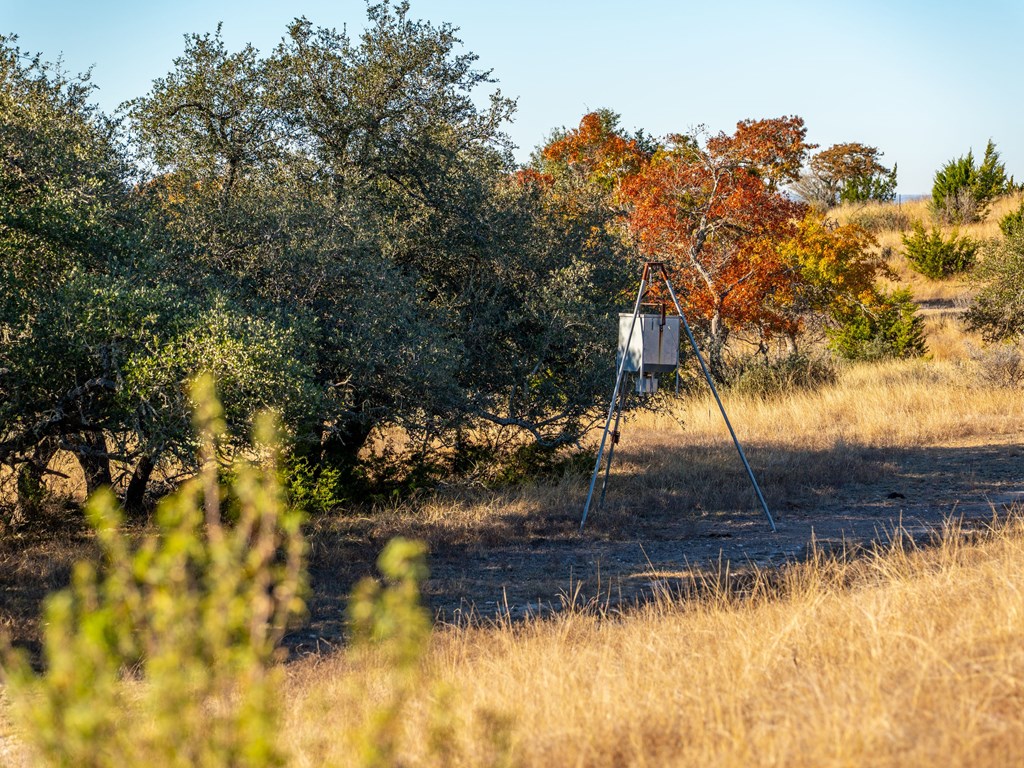 196 Hermit Hill Road Fredericksburg, TX 78624 - Photo 30 of 49 a view of a yard