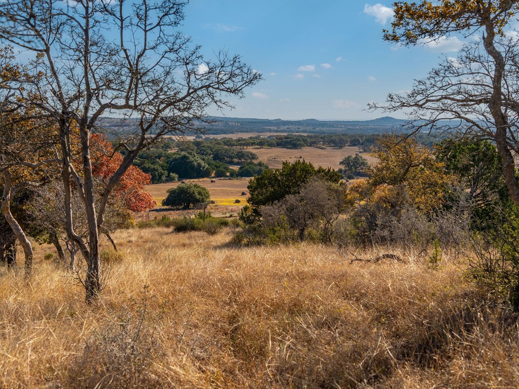 196 Hermit Hill Road Fredericksburg, TX 78624 - Photo 36 of 49