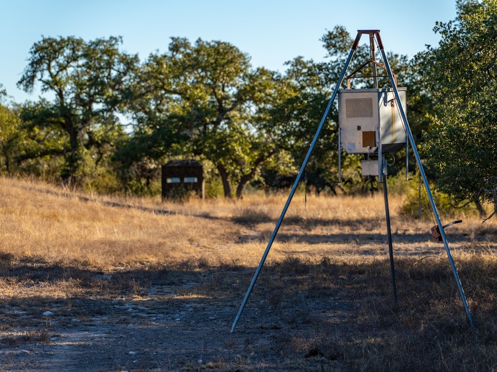 196 Hermit Hill Road Fredericksburg, TX 78624 - Photo 42 of 49 a backyard of a house