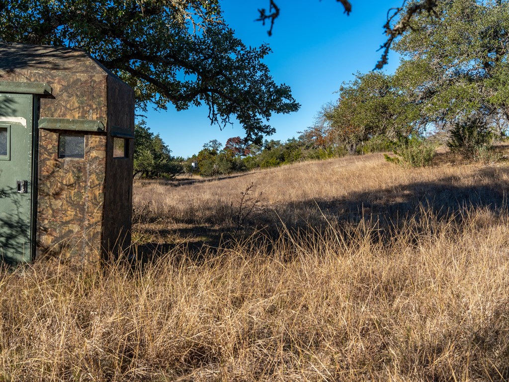 196 Hermit Hill Road Fredericksburg, TX 78624 - Photo 43 of 49 a view of a yard of a house