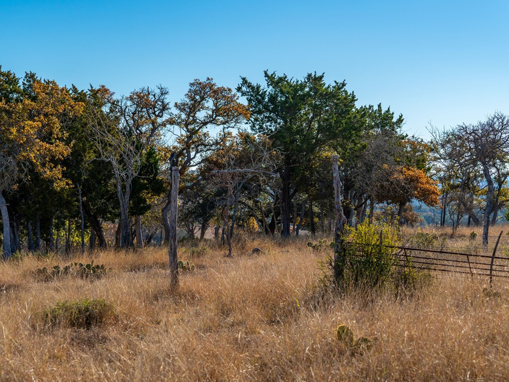 196 Hermit Hill Road Fredericksburg, TX 78624 - Photo 47 of 49 a view of a yard with a tree