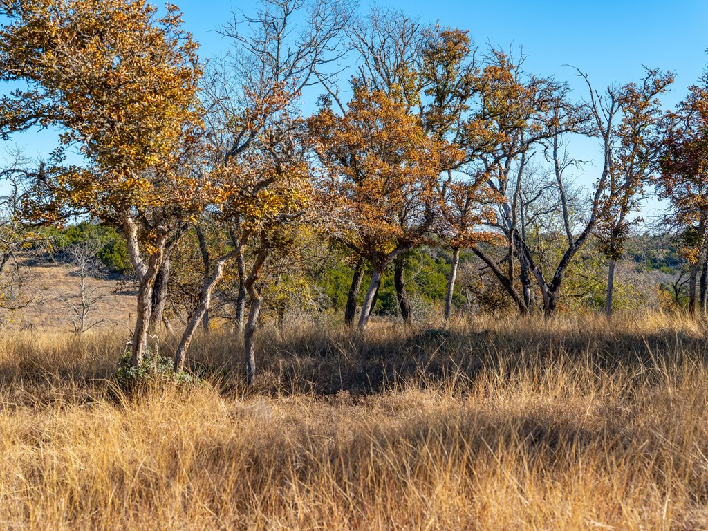 196 Hermit Hill Road Fredericksburg, TX 78624 - Photo 49 of 49