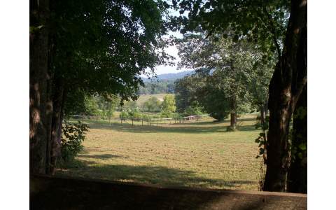 1113 Brasstown Road Murphy, NC 28906 - Photo 1 of 1 Main View