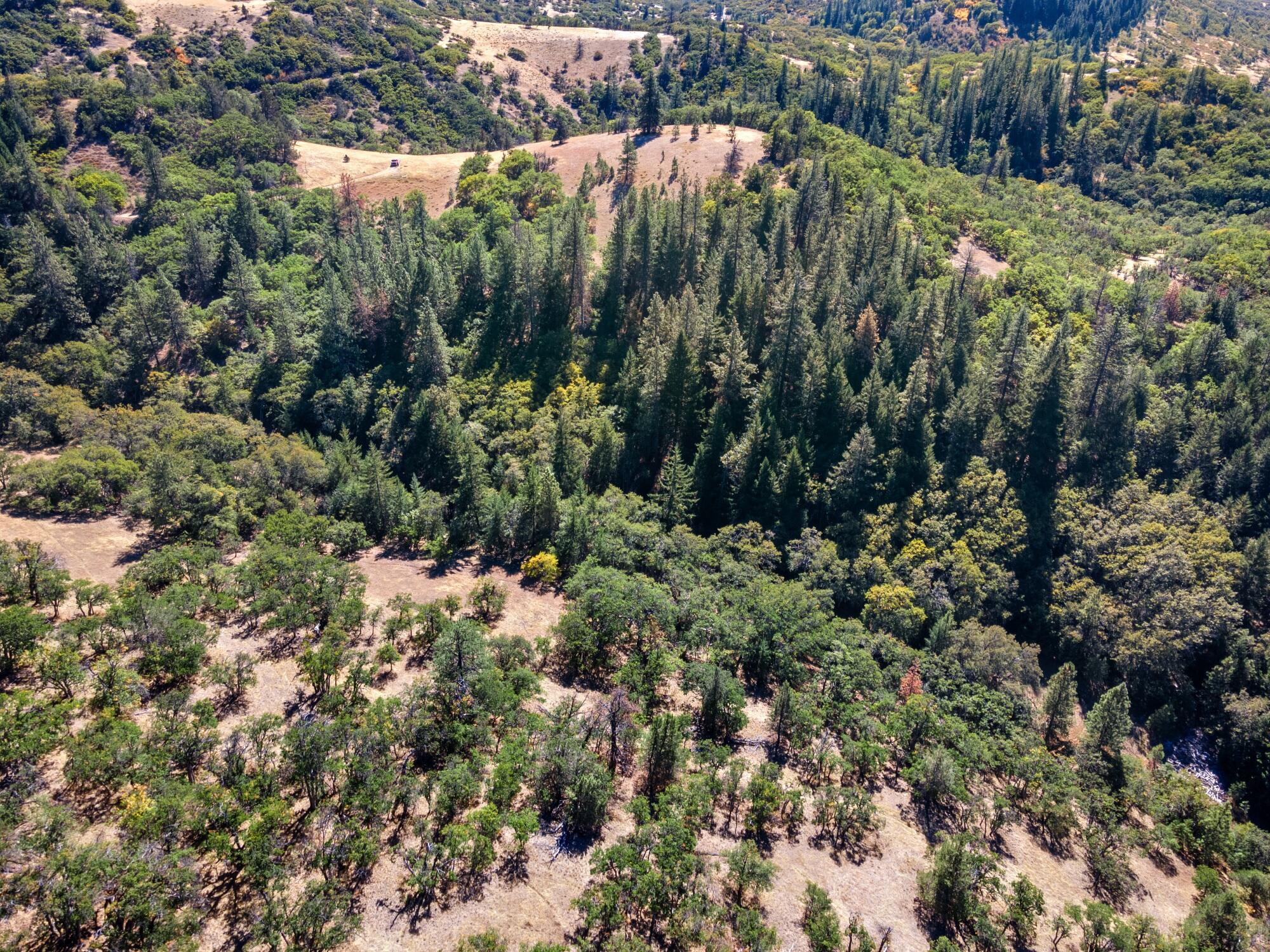 0 Colestin Road Ashland, OR 97520 - Photo 13 of 13 DJI_0926