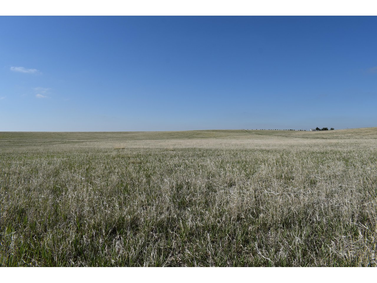 75 +/- Acres Close to Akron, CO!