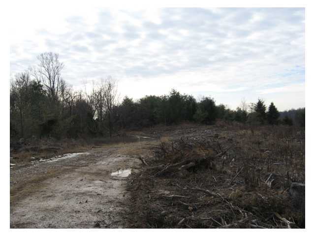 0 Scott School Road Vinton, OH 45686 - Photo 2 of 12 Gallery Image 2