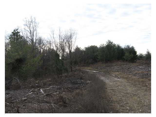 0 Scott School Road Vinton, OH 45686 - Photo 3 of 12 Gallery Image 3
