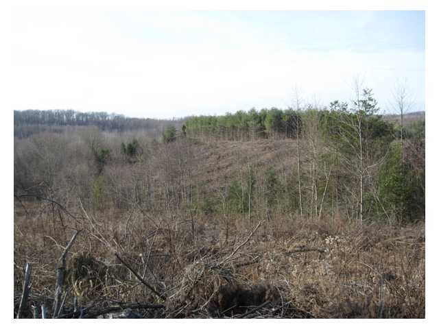 0 Scott School Road Vinton, OH 45686 - Photo 5 of 12 Gallery Image 5
