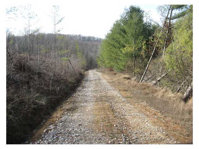 0 Scott School Road Vinton, OH 45686 - Photo 7 of 12 Gallery Image 7