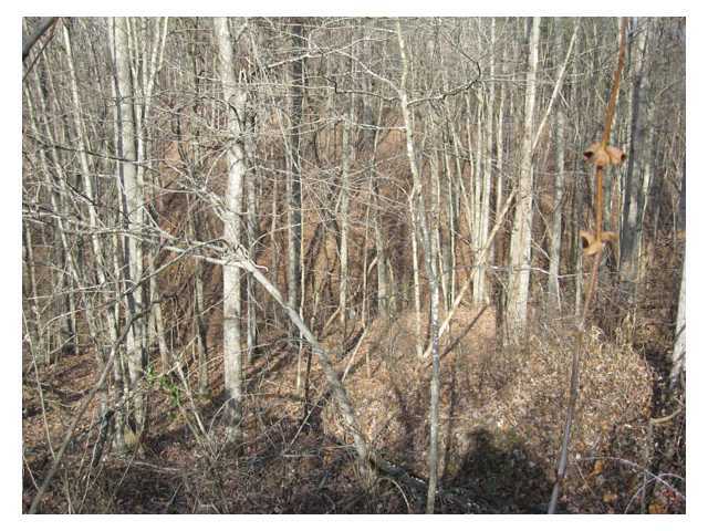 0 Scott School Road Vinton, OH 45686 - Photo 8 of 12 Gallery Image 8