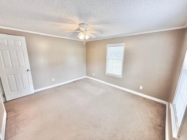 7977 Raccoon Road Manning, SC 29102 - Photo 23 of 27