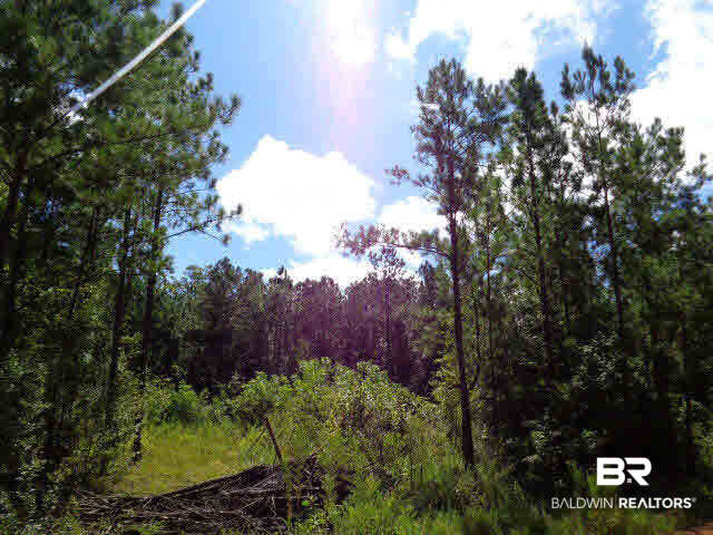 0 Blair Road Brewton, AL 36426 - Photo 5 of 5