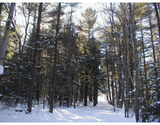 24 Kirk Road Warwick, MA 01378 - Photo 9 of 11