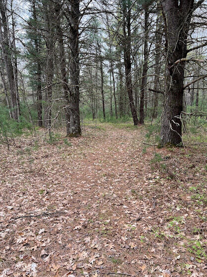 20544 Moss Road Wellston, MI 49689 - Photo 19 of 56 IMG_7316