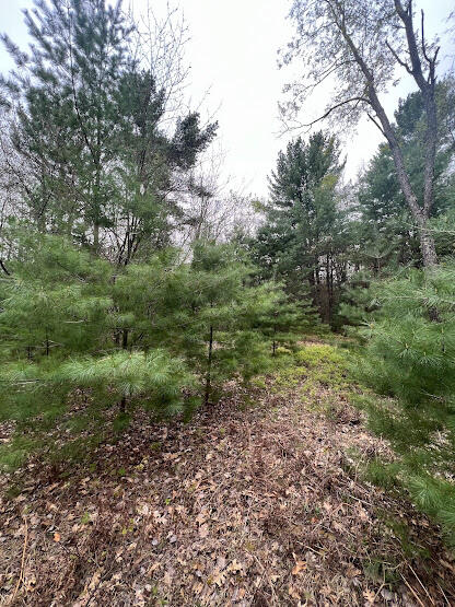 20544 Moss Road Wellston, MI 49689 - Photo 10 of 56 IMG_7338