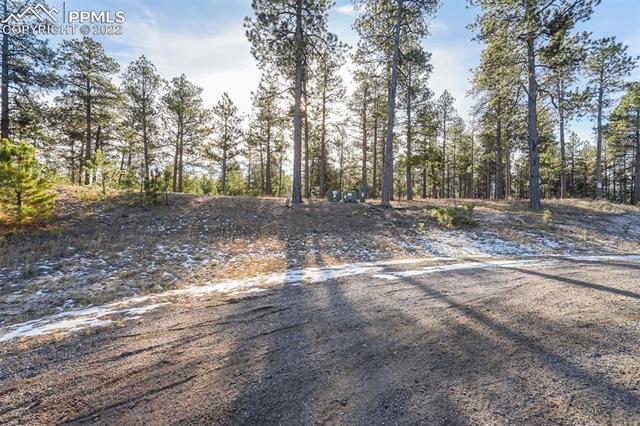 17501 Abert Ridge View Colorado Springs, CO 80908 - Photo 11 of 45 Gallery Image 11