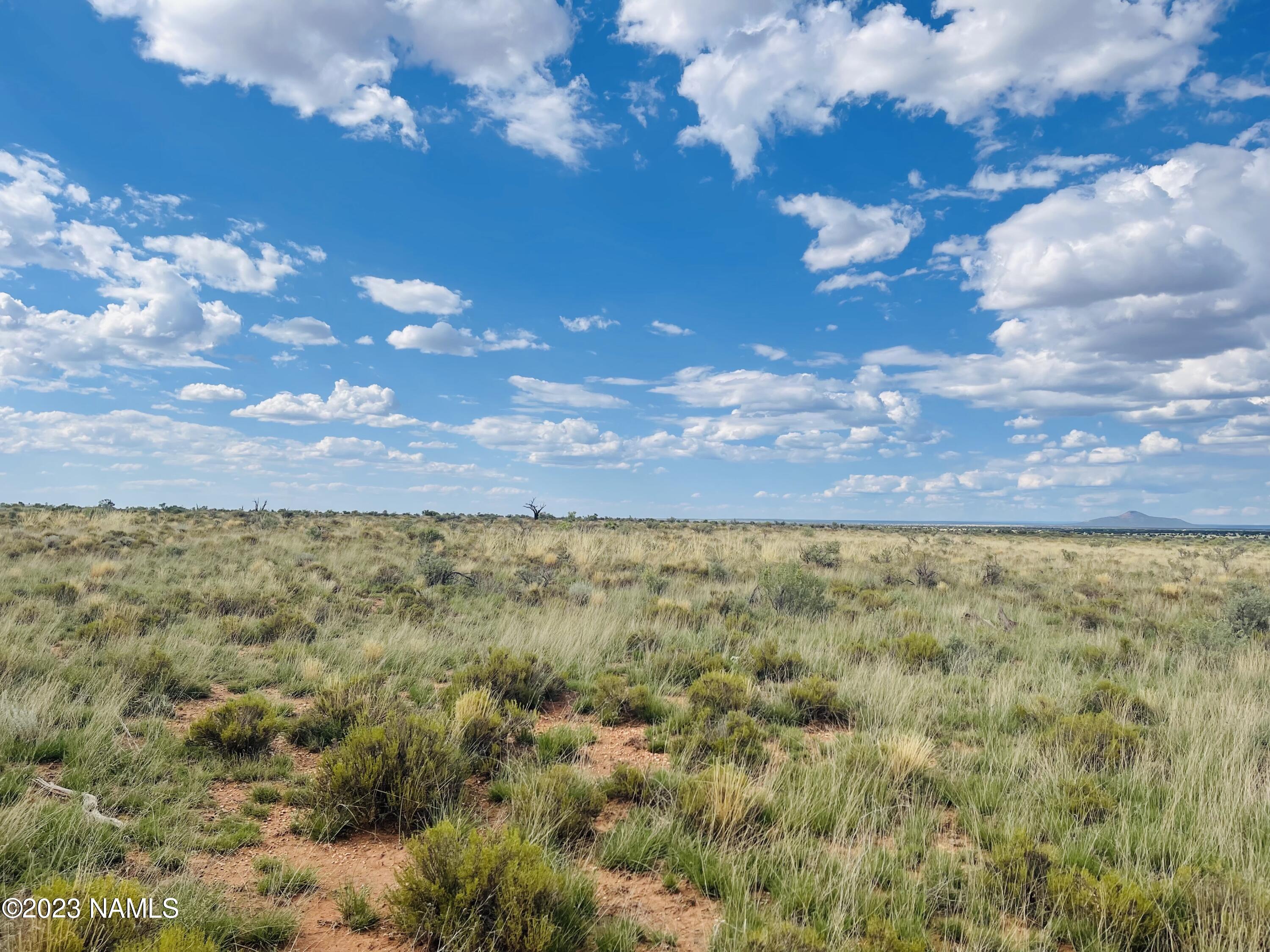 2227 East Richard Road Williams, AZ 86046 - Photo 5 of 8 2227 E Richard Rd Photo 4