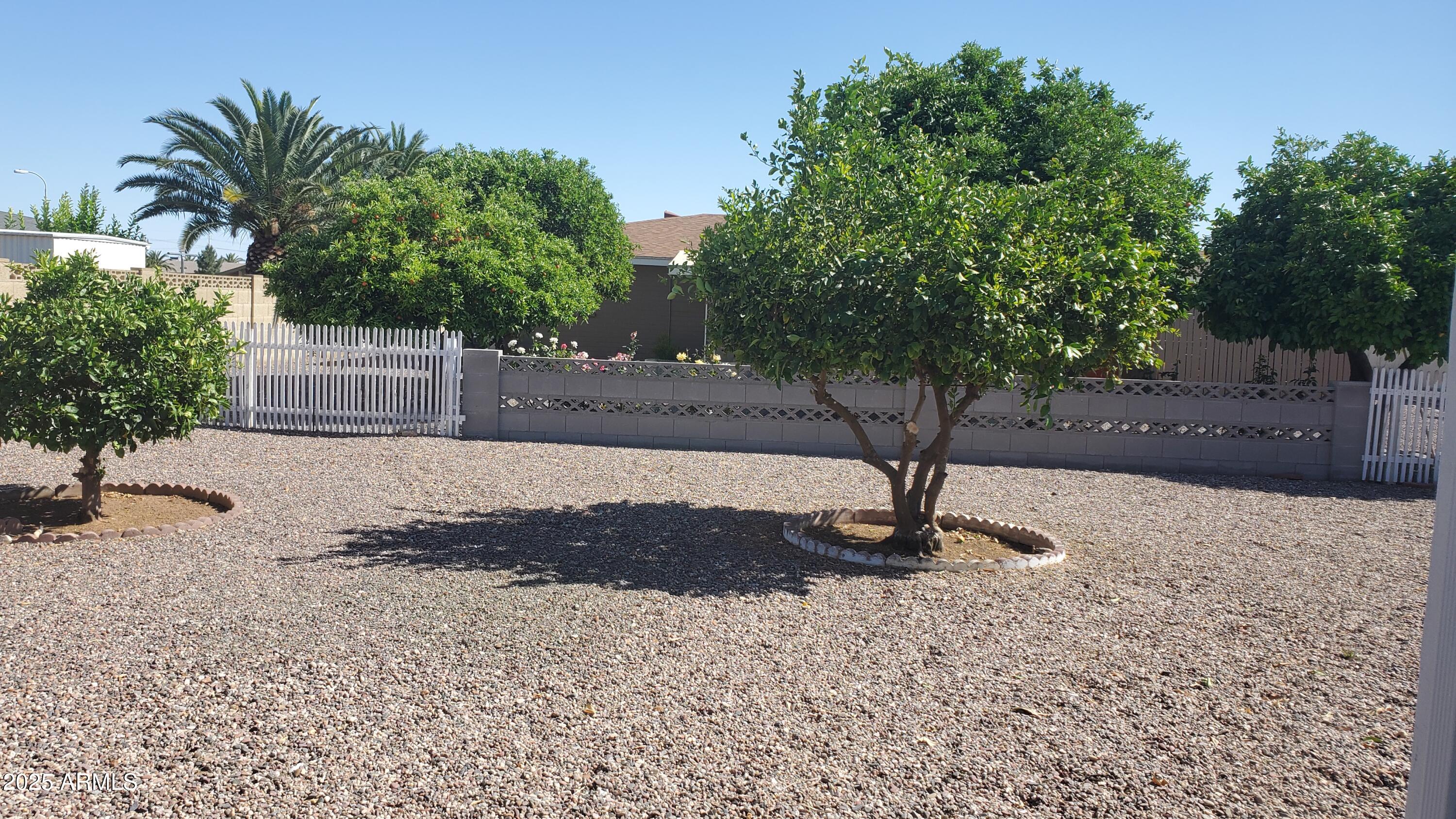 6343 East Ellis Street Mesa, AZ 85205 - Photo 15 of 16 Backyard