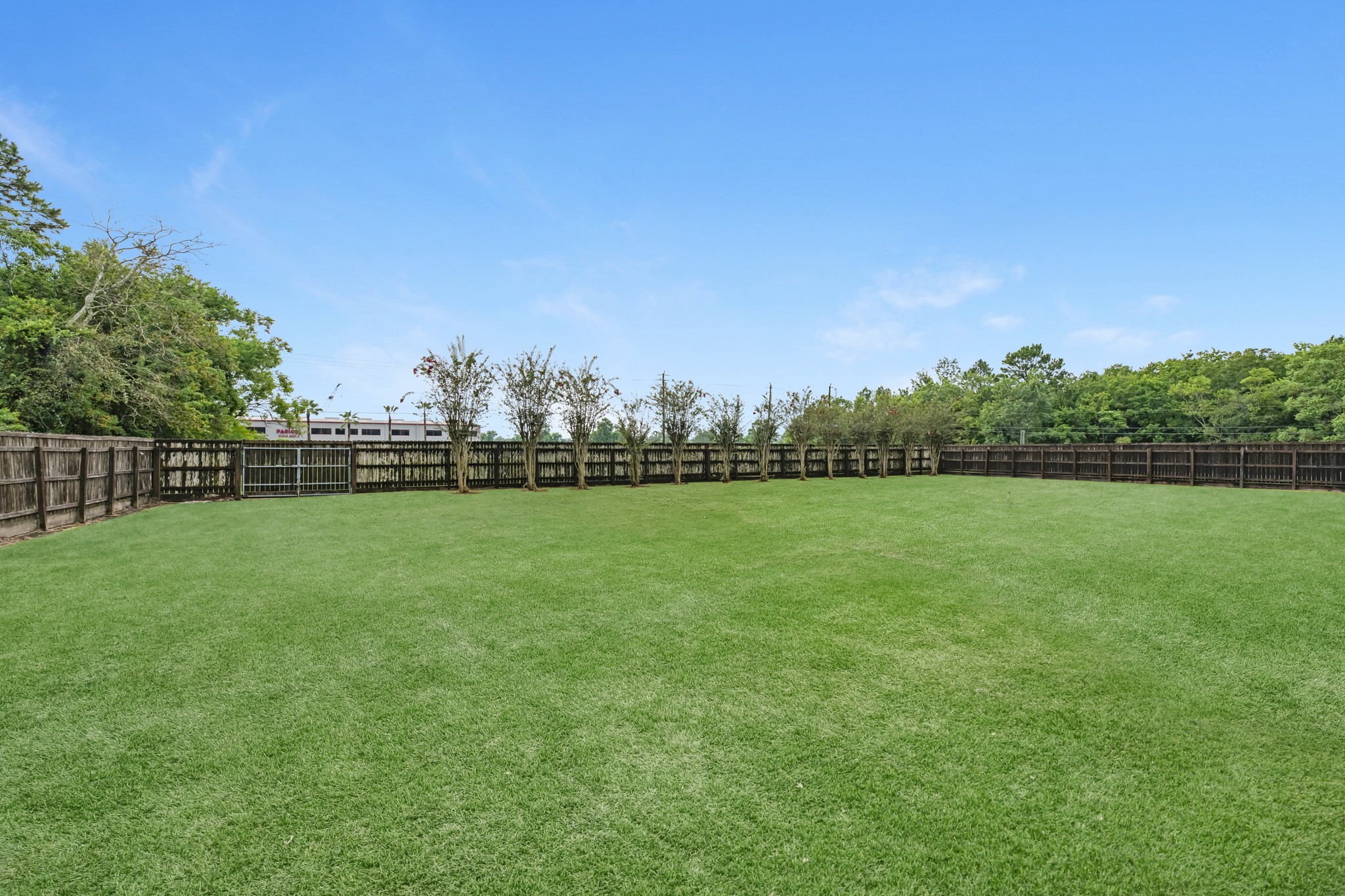 7315 Pine Street Manvel, TX 77578 - Photo 39 of 50 a view of yard with grass and trees