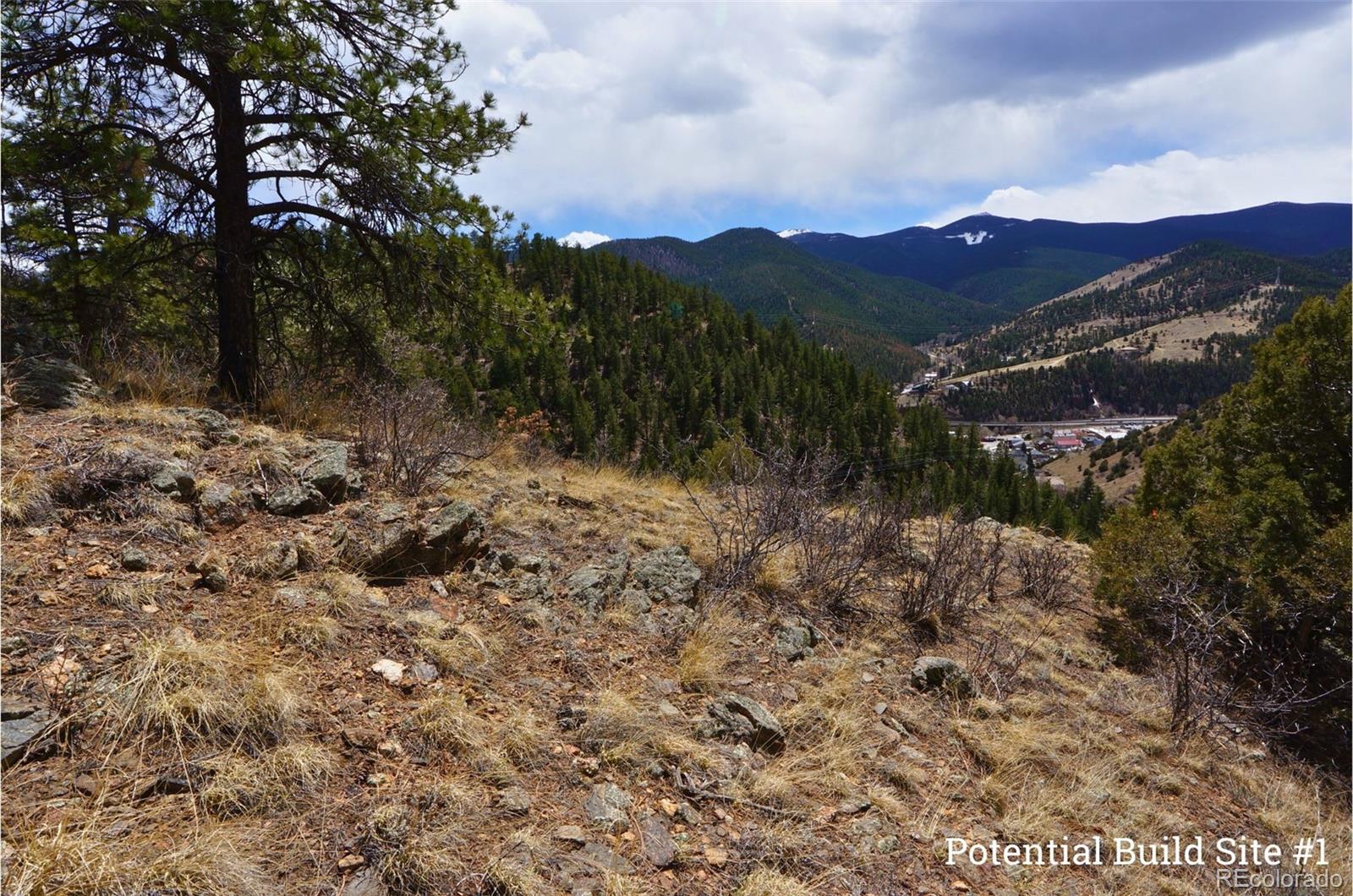 0 Virginia Canyon Road Idaho Springs, CO 80452 - Photo 1 of 45 a view of a yard with a tree
