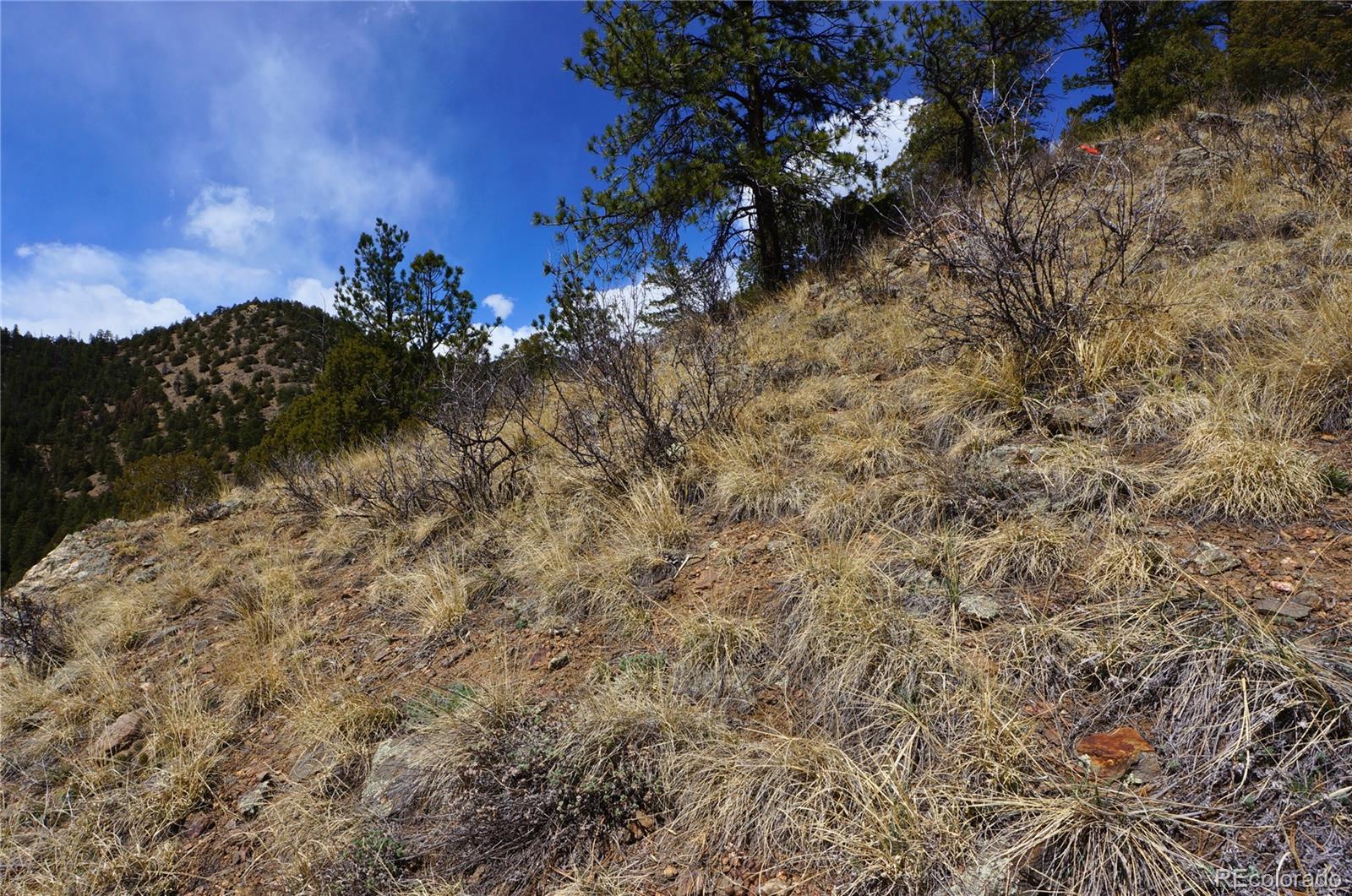 0 Virginia Canyon Road Idaho Springs, CO 80452 - Photo 20 of 45 a view of a tree in a yard