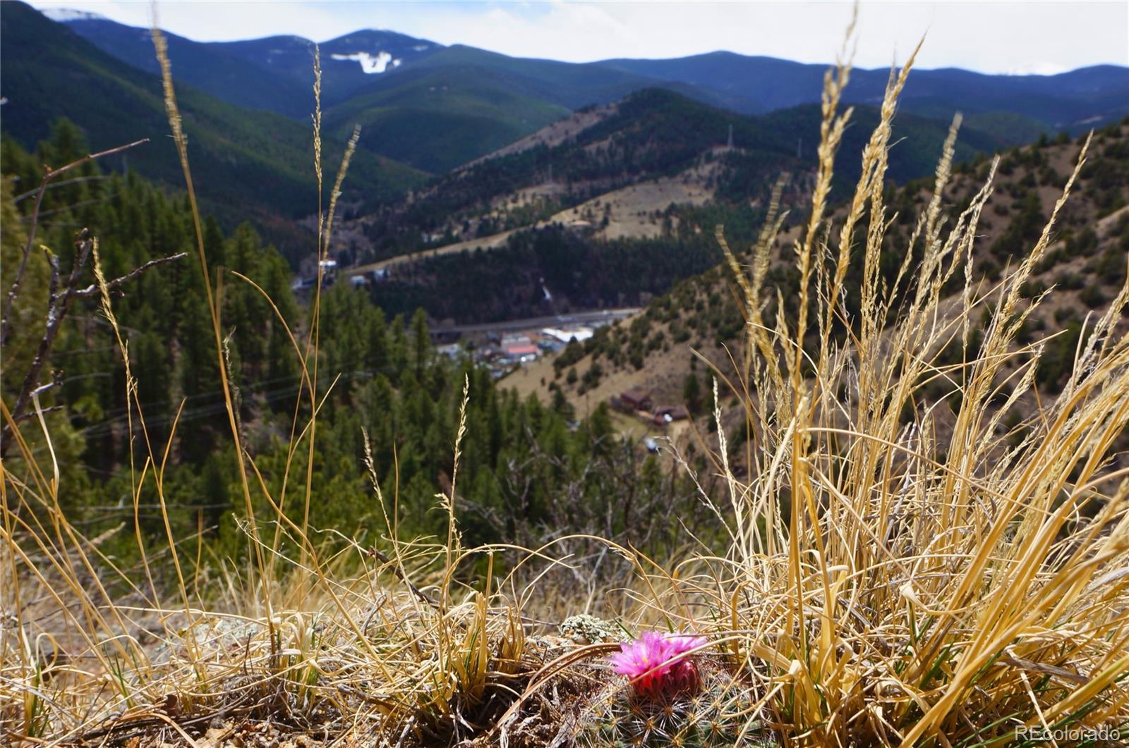 0 Virginia Canyon Road Idaho Springs, CO 80452 - Photo 2 of 45 a view of balcony with a swing