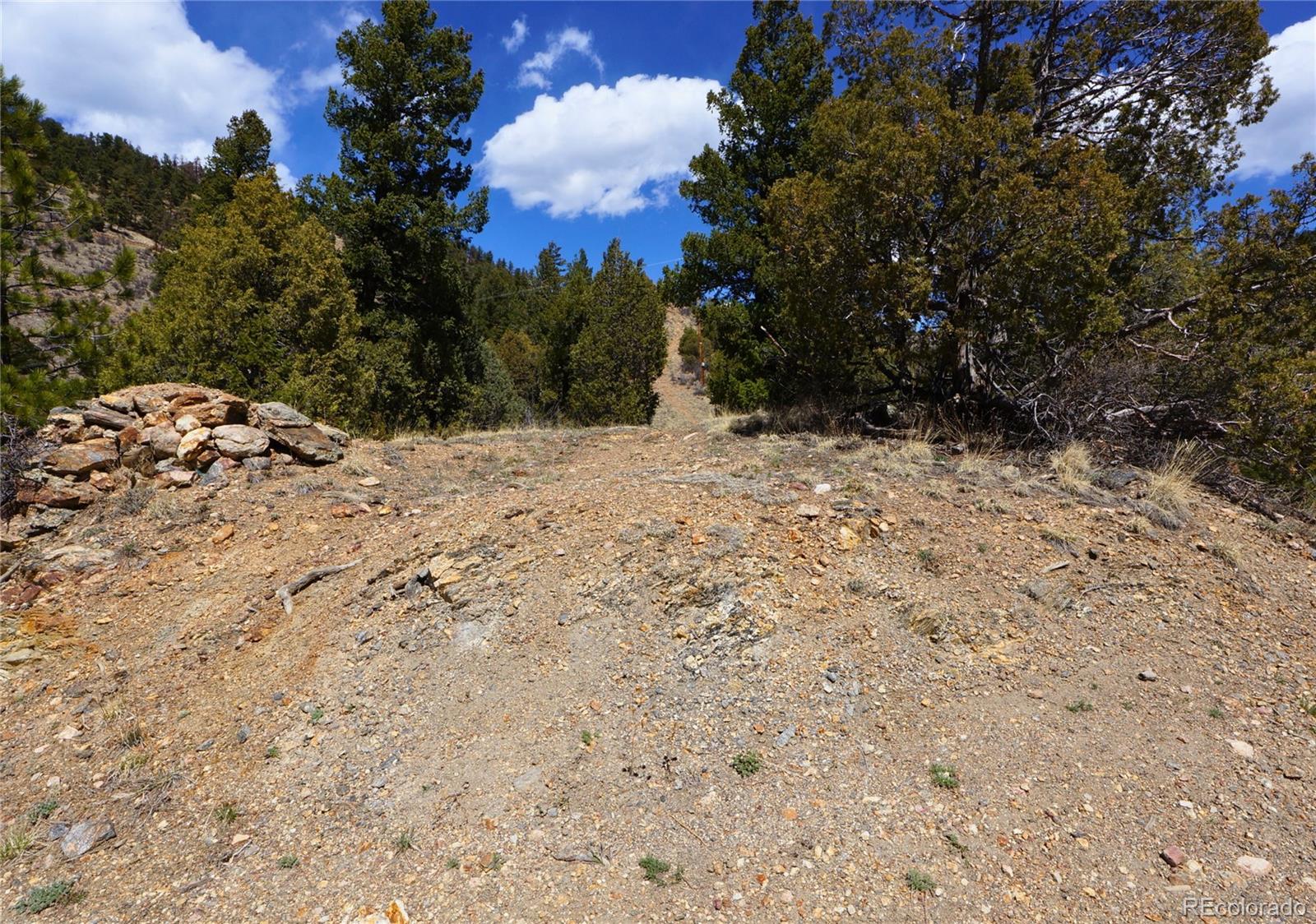 0 Virginia Canyon Road Idaho Springs, CO 80452 - Photo 25 of 45 a view of a dry yard with trees