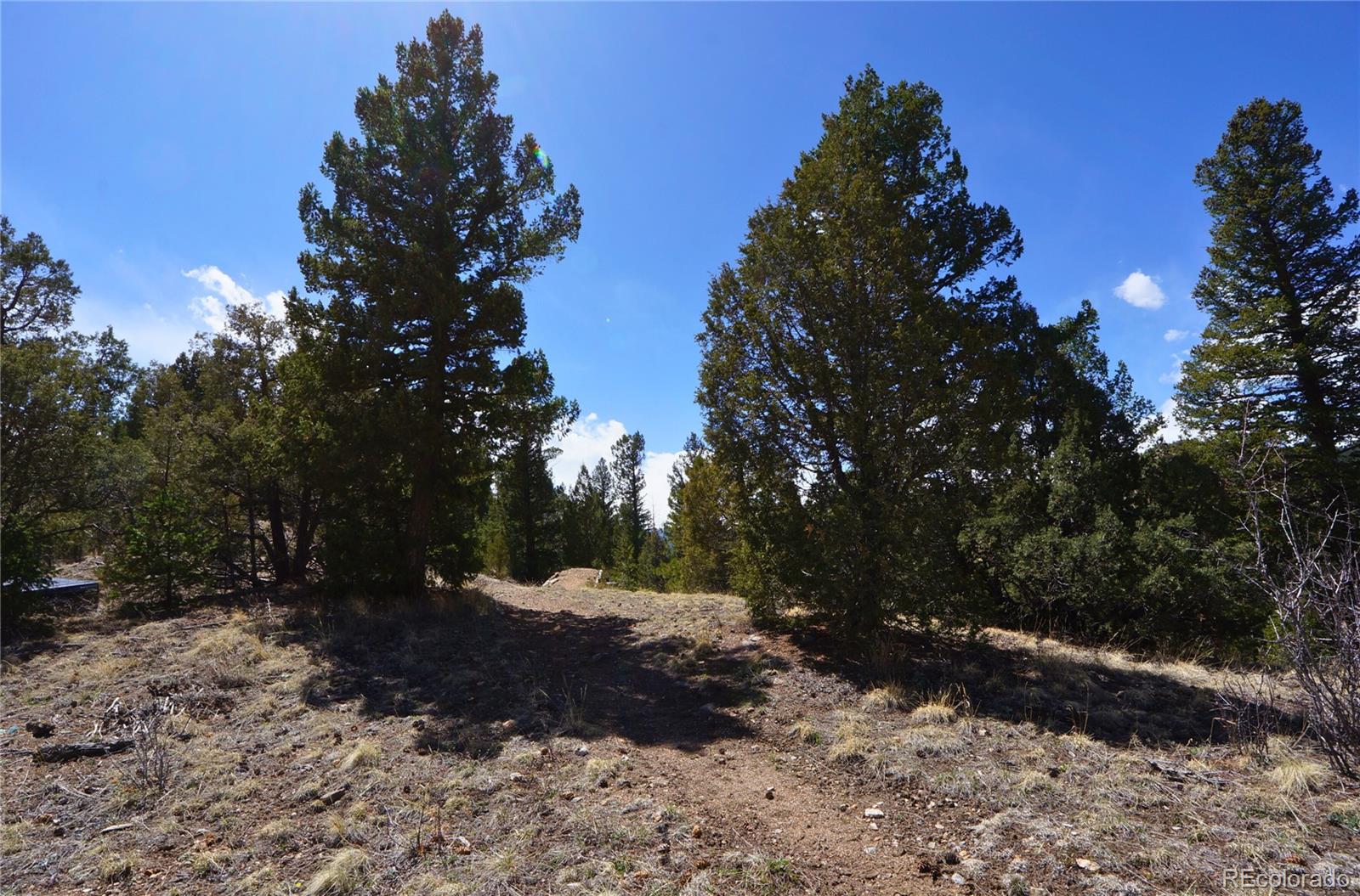 0 Virginia Canyon Road Idaho Springs, CO 80452 - Photo 26 of 45 a view of a yard with a tree