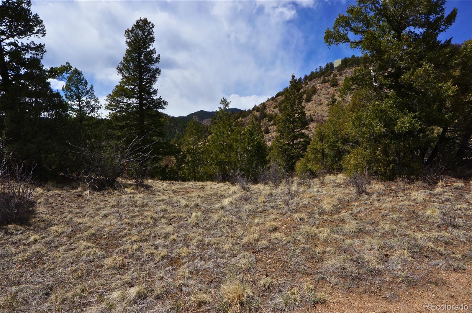 0 Virginia Canyon Road Idaho Springs, CO 80452 - Photo 31 of 45 a view of a yard with a tree