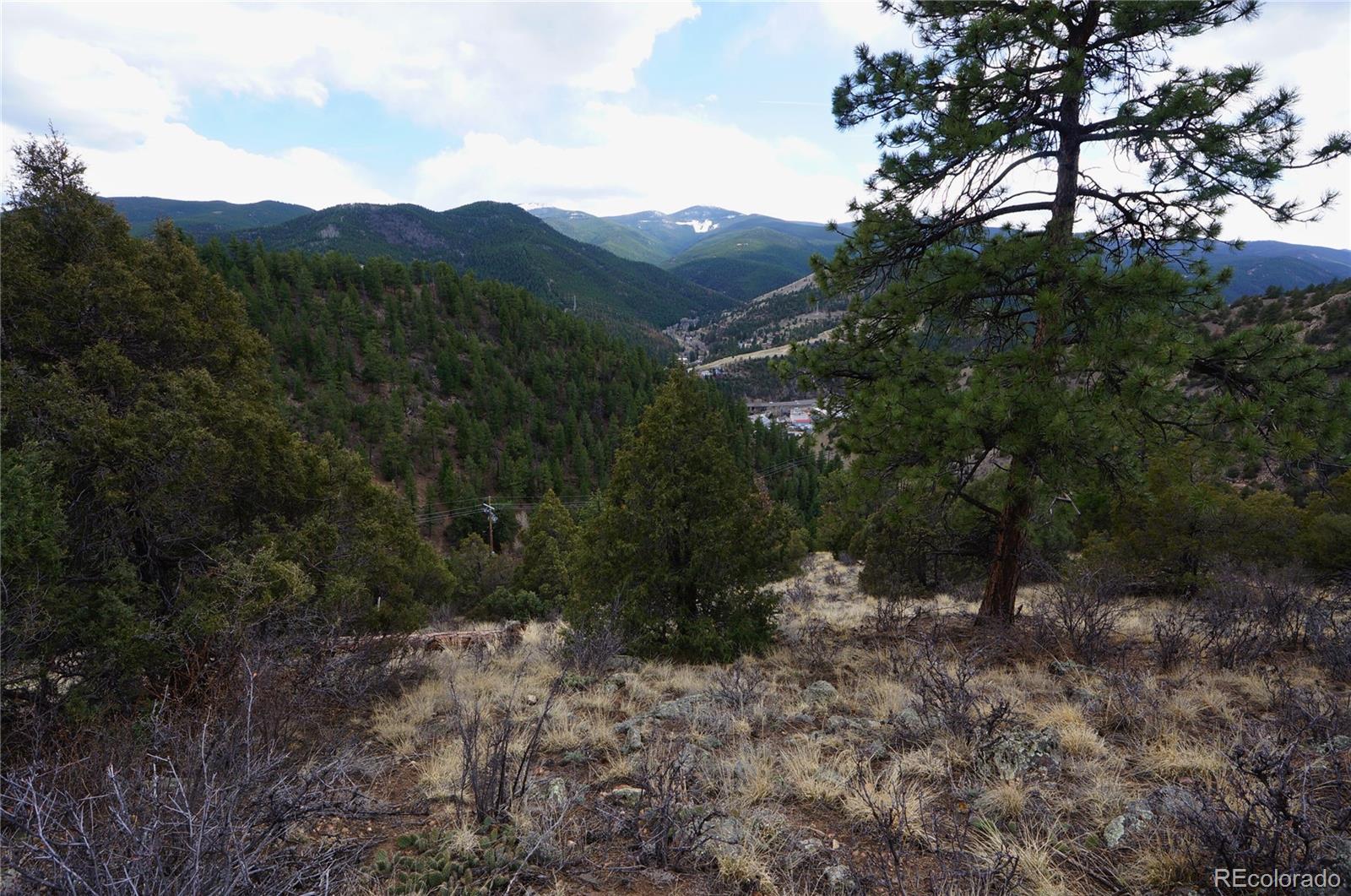 0 Virginia Canyon Road Idaho Springs, CO 80452 - Photo 34 of 45 a view of a forest with a tree