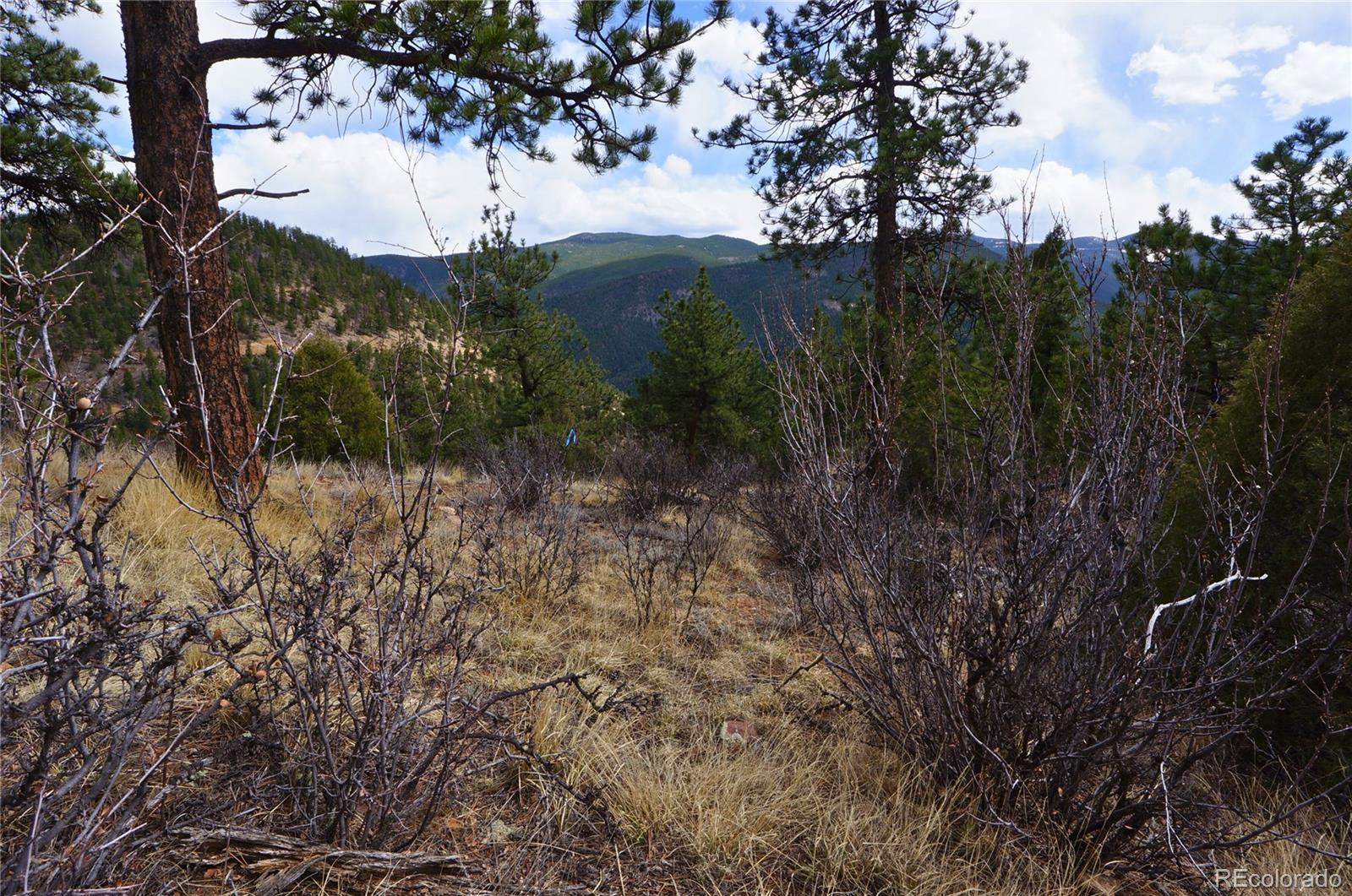 0 Virginia Canyon Road Idaho Springs, CO 80452 - Photo 36 of 45 a view of a yard with a tree