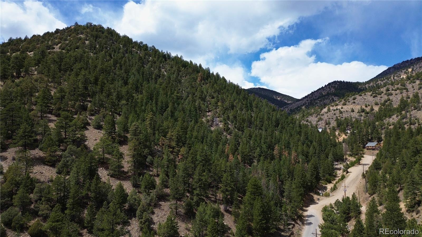 0 Virginia Canyon Road Idaho Springs, CO 80452 - Photo 43 of 45 a view of a tree in a field