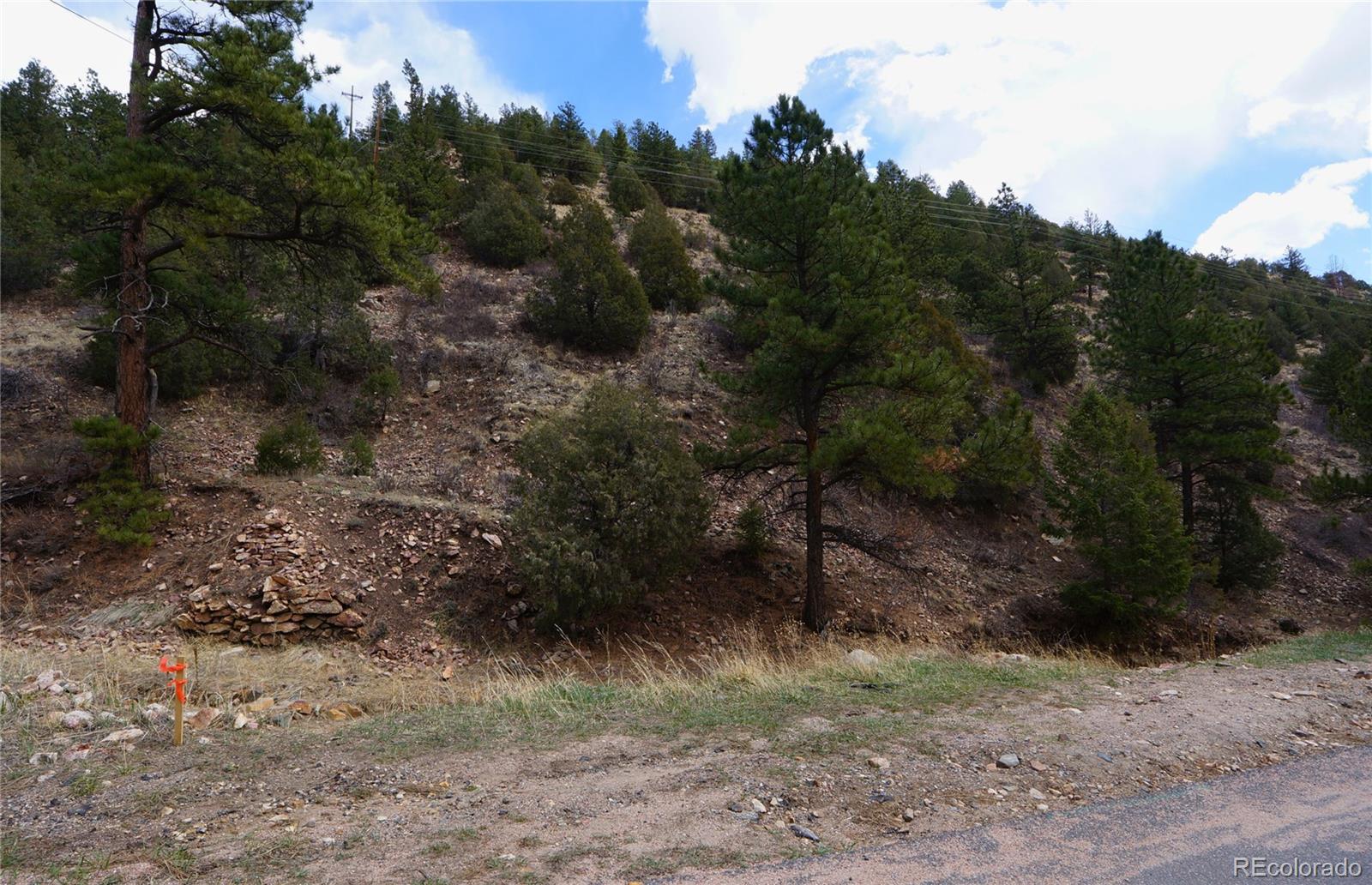 0 Virginia Canyon Road Idaho Springs, CO 80452 - Photo 7 of 45 a view of a yard with a tree