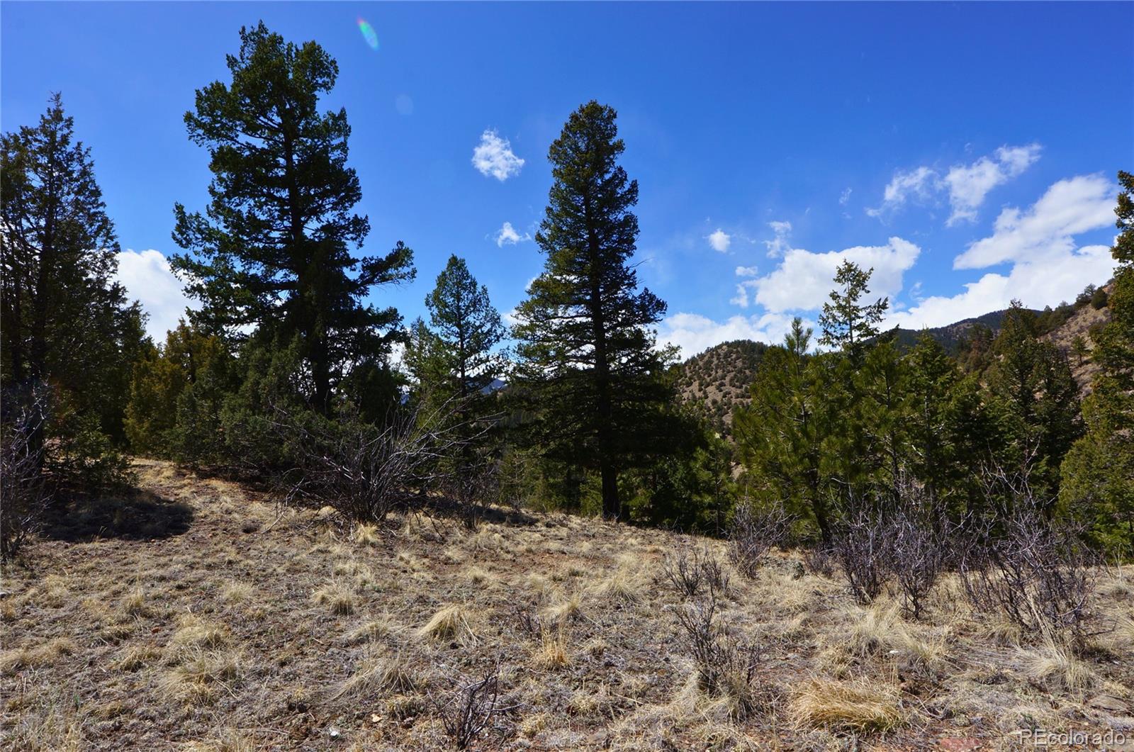 0 Virginia Canyon Road Idaho Springs, CO 80452 - Photo 10 of 45 a view of a yard with a tree