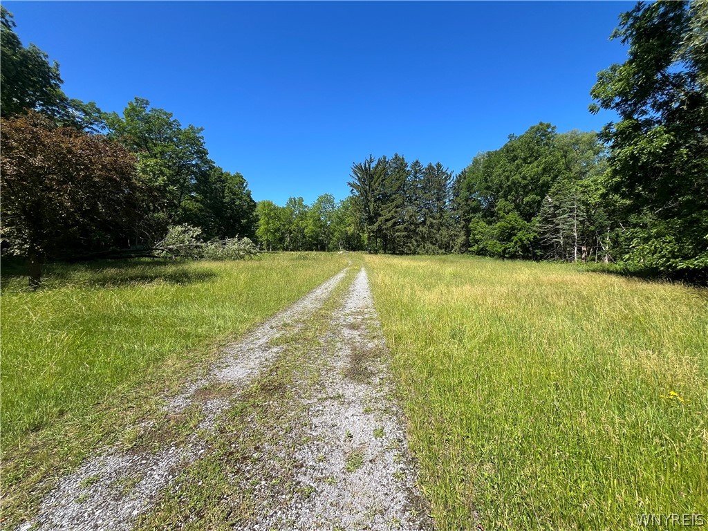 4880 Ransom Road Clarence, NY 14031 - Photo 30 of 42 Gallery Image 30